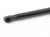 ES#2966916 - 8P0823359D - Hood Strut - Keep your hood propped in place with a new lift strut - Genuine Volkswagen Audi - Audi