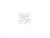 ES#173355 - 63130422706 - Front JCW Grille W/ Brackets - (NO LONGER AVAILABLE) - For the install or vehicles with rally lights - Genuine MINI - 