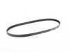 ES#3234781 - 06A145933D - Accessory Belt - Replace a worn or broken drive belt to prevent engine damage - Gates - Volkswagen