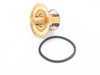 ES#3469476 - 11539055588 - Thermostat - 80C - Stop your overheating problem. - Mahle - BMW