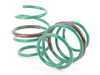 ES#3135616 - SKG74-AUB00 - S-Tech Sport Springs - Set - Average lowering front: 1.2" rear:1.1" - Tein - MINI