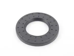 Input Shaft Seal 