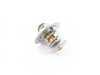 ES#6391 - 044121113 - Thermostat - 87C - Bring your car to operating temperature. - Vaico - Audi Volkswagen