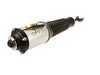 ES#3476113 - AS-2776 - Front Air Suspension Strut - Left - Front Axle, Left Side - Arnott - Audi