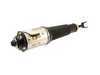 ES#3476114 - AS-2775 - Front Air Suspension Strut - Right - Front Axle, Right Side - Arnott - Audi
