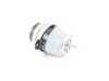 ES#2816191 - 7L6199131A - Engine Mount - Priced Each - Eliminate excessive engine vibrations - Hamburg Tech - Audi Volkswagen