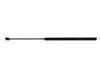 ES#1928135 - 1C0823359E - Hood Strut - Replacement strut for hood - Stabilus - Volkswagen