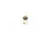 ES#171884 - 62148680130 - LAMP SOCKET - Genuine BMW - BMW