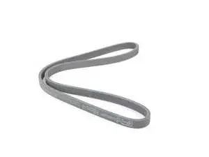 Accessory Belt