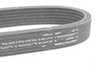 ES#3234754 - 066145933J - Accessory Belt - With factory A/C - Gates - Audi Volkswagen