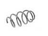 ES#1738032 - 2043214204 - Front Coil Spring - Priced Each - Fits Left Or Right Side - Genuine Mercedes Benz - Mercedes Benz