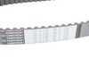 ES#2800624 - 074109119F - Timing Belt - Continental - Volkswagen