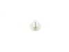 ES#253804 - 07149149652 - TORX-BOLT WITH WASHE - Genuine BMW - BMW MINI