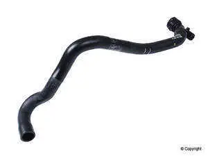 Radiator Hose - Lower