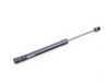 ES#3419828 - 4E0823359D - Hood Strut - Keep your hood supported properly - Lesjofors - Audi