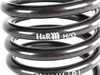 ES#1303187 - 29111-1 - Sport Springs - Priced Per Set - Front lowering: 1"; rear lowering: 1" - H&R - Porsche