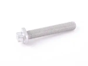 Torx Screw - Priced Each