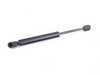 ES#3411984 - 8D5827552F -  Trunk Strut - Priced Each - Keep your trunk propped open and supported - Meyle - Audi Volkswagen
