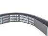 ES#3235068 - 11287837898 - Accessory Belt - Alternator/Water Pump - Keep your accessories turning - Gates - BMW