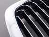 ES#78474 - 51138172279 - Chrome Grille - Front Left - Genuine BMW replacement for a cracked or missing grille. - Genuine BMW - BMW
