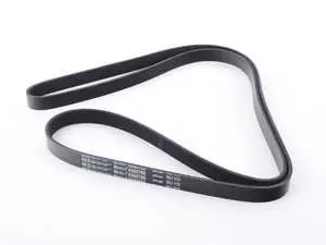 Accessory Belt