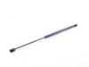 ES#3468542 - 8L0823359 - Hood Strut  - This gas filled opening strut helps to hold your hood up while engine work is done - URO - Volkswagen