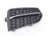 ES#3421337 - 51118061874 - Lower bumper grille - right  - Bumper grille without out fog light cut out - Genuine BMW - BMW