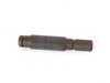 ES#41366 - 21521161729 - PIN - Genuine BMW - BMW
