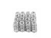 ES#3173627 - SPR-MC56BE - Performance Valve Springs Kit - Set of 16 Beehive Style  SPR-MC56BE-16 - SET OF 16 - BEEHIVE STYLE
Aftermarket performance intake and exhaust valve springs for your high revving N12,N14,N16, and N18 engine - Supertech - MINI