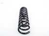 ES#1752121 - 2103213104 - Front Coil Spring - Priced Each - Three (3) Blue And One (1) Yellow Paint Markings - Fits Left Or Right Side - Genuine Mercedes Benz - Mercedes Benz