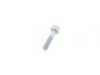 ES#14716 - 07119905429 - Hex Bolt with Washer - M6X30 - Genuine BMW - BMW MINI