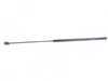 ES#3478072 - 3C8823359 - Front Hood Strut - Priced Each - Keep your hood up - Stabilus - Volkswagen
