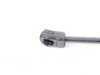 ES#3478072 - 3C8823359 - Front Hood Strut - Priced Each - Keep your hood up - Stabilus - Volkswagen