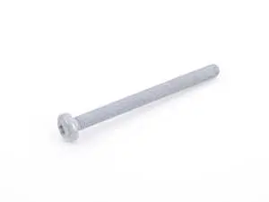 Vacuum Pump Securing Screw - Priced Each
