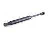 ES#2871654 - 51248410755 - Trunk Strut - Replacement gas shock for trunklid - Febi - BMW