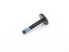 ES#2557586 - 07147288888 - FILLISTER HEAD SCREW - Genuine BMW - BMW