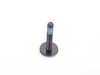 ES#2557586 - 07147288888 - FILLISTER HEAD SCREW - Genuine BMW - BMW