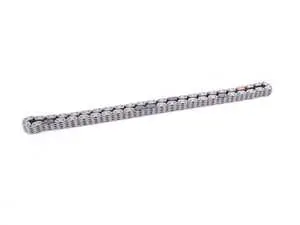 Timing chain - lower