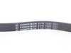 ES#3450234 - 11287636374 - E53 Drive Belt - Air Conditioner - Keep your A/C system operating properly. - Continental - BMW