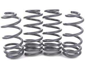 ES#3491530 - 034-404-1005 - Dynamic+ Lowering Springs - Engineered to improve handling and deliver superb ride quality! - 034Motorsport - Audi