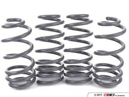 ES#3491530 - 034-404-1005 - Dynamic+ Lowering Springs - Engineered to improve handling and deliver superb ride quality! - 034Motorsport - Audi