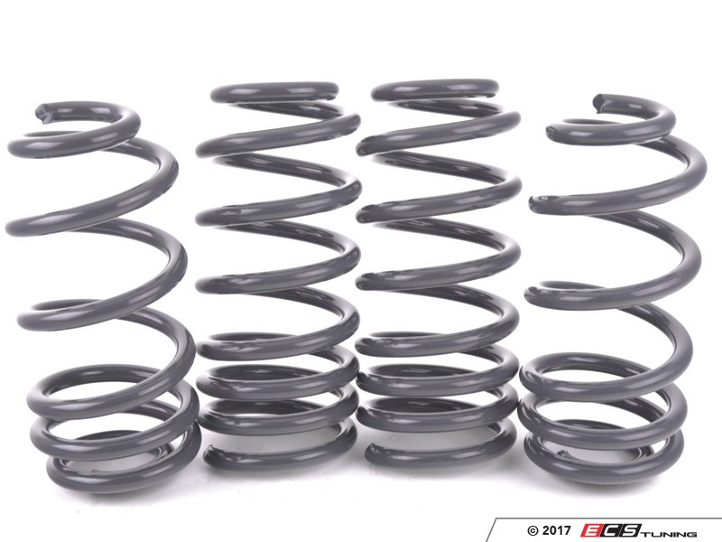 034Motorsport 0344041005 Dynamic+ Lowering Springs