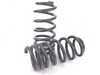 ES#3491530 - 034-404-1005 - Dynamic+ Lowering Springs - Engineered to improve handling and deliver superb ride quality! - 034Motorsport - Audi