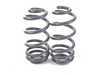ES#3491530 - 034-404-1005 - Dynamic+ Lowering Springs - Engineered to improve handling and deliver superb ride quality! - 034Motorsport - Audi