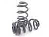 ES#3491530 - 034-404-1005 - Dynamic+ Lowering Springs - Engineered to improve handling and deliver superb ride quality! - 034Motorsport - Audi