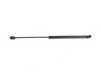 ES#3449097 - 1J0823359C - Hood Strut - Priced Each - Strut that holds the hood up - URO - Volkswagen