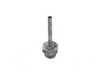 ES#23381 - 11411252072 - PLUG - Genuine BMW - BMW