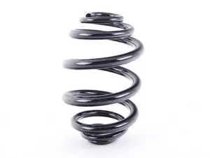 E46 Rear Coil Spring - Priced Each