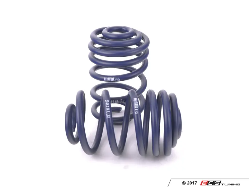 H&R - 29484 - Sport/race Spring Set