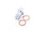 ES#3449477 - 1J0611763KT - Banjo Bolt With Sealing Washers - Priced Each - For OEM type rear calipers only - ECS - Audi Volkswagen